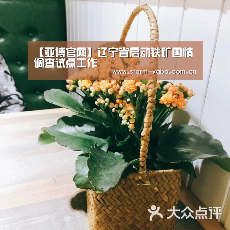 【亚博官网】辽宁省启动铁矿国情调查试点工作(图4) 亚博app